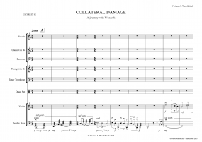 collateral damage A4 z 5